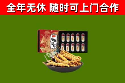 永嘉回收冬虫夏草价格