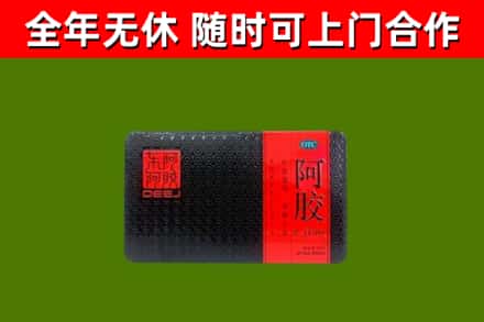 永嘉回收阿胶