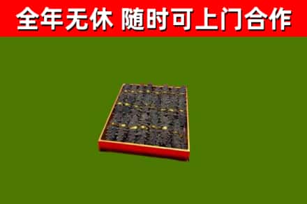 永嘉烟酒回收海参.jpg